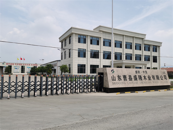 公司大门